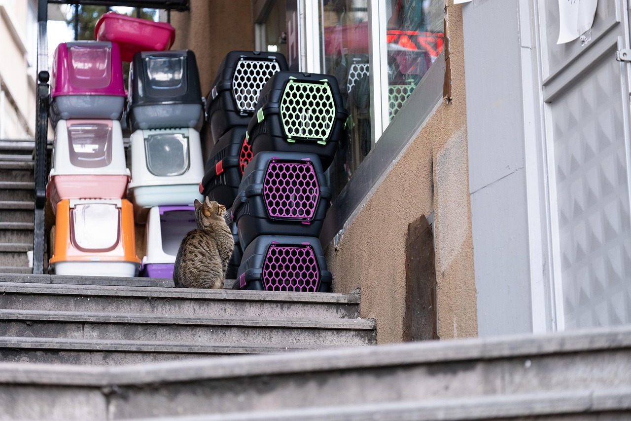 Cage de transport renforcée