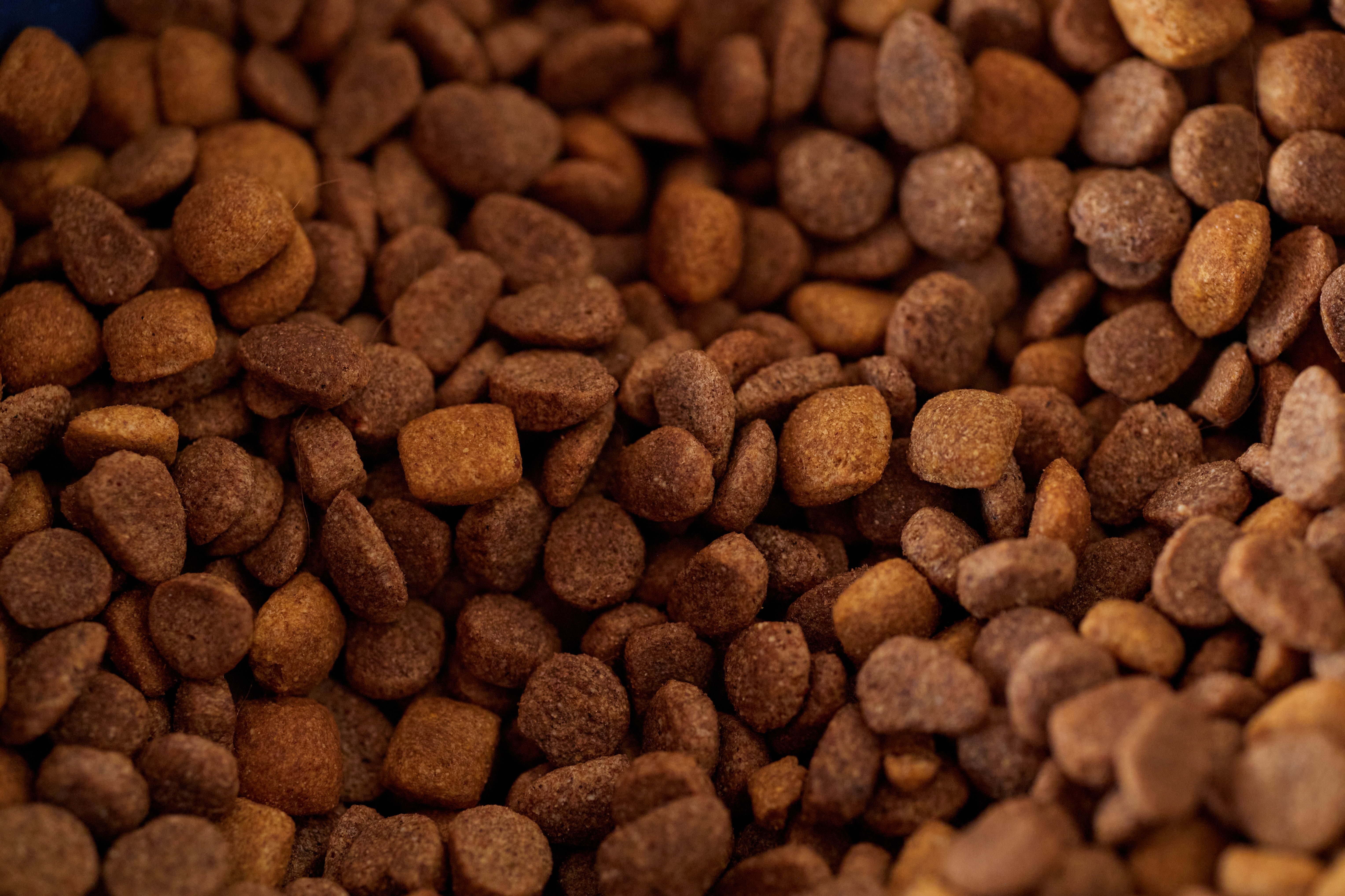Croquettes Premium 12kg