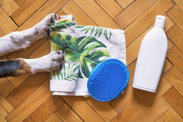 Kit Hygiène complet